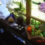 SPA ACCESSORIES