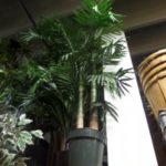 ARTIFICIAL PLANTS AND FLOWERS - Image 3