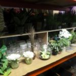 ARTIFICIAL PLANTS AND FLOWERS - Image 4