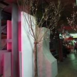 ARTIFICIAL PLANTS AND FLOWERS - Image 2