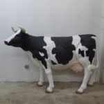 Dairy Cow
