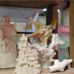 Star Fish and Seashells - Image 3