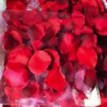 Silk Rose Petals