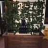 Trellis Planters - Image 5
