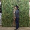 Tall Grass Entrance Wall - Image 2