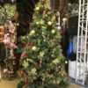 Evergreen Christmas Tree - Image 2