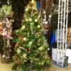 Evergreen Christmas Tree