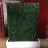 Boxwood Hedge With Base