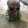 Oversized Skull