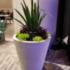 Oversized Plastic Planter