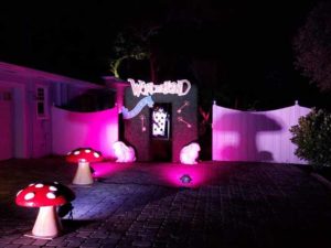 party entrance with lights