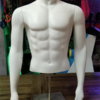 Male Mannequin Torso - Image 2