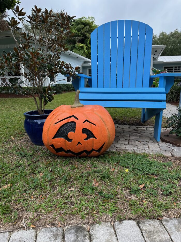 Oversized Pumpkin Cary - Image 4