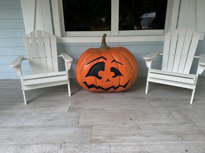 Oversized Pumpkin Cary - Image 3