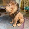 Lion Safari - Image 3