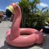 Oversized Flamingo Float