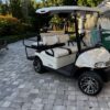 Golf Cart Stanley - Image 2