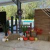 Large Faux Agave Plant - Image 4