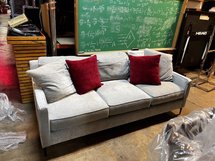 Light Gray Couch